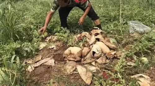 方山吃瓜最新事件爆料  第3张